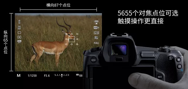 体验佳能,佳能eosr体验