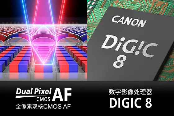 体验佳能,佳能eosr体验