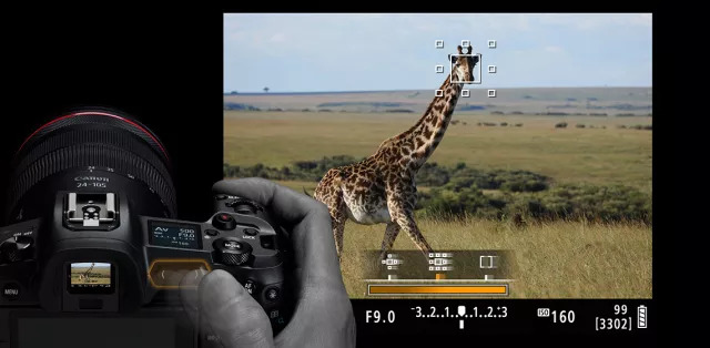 体验佳能,佳能eosr体验