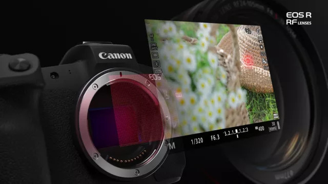 体验佳能,佳能eosr体验