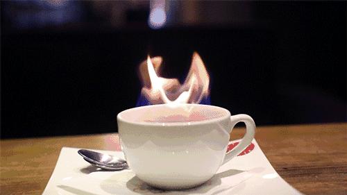 这家店汤包没有肉，蛋糕会着火