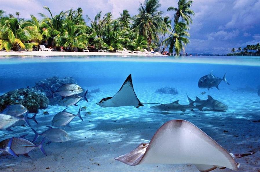 世界十大度假海岛排行榜前十名,全球海岛旅游推荐排行榜前十名