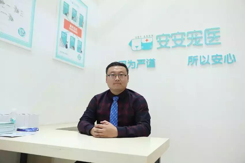 三年开到260余家宠物连锁医院,安安宠医这一年经历了什么?