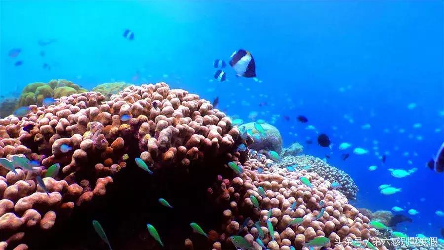 苏梅岛海滩大盘点，一篇文章教会你在苏梅岛如何选海滩