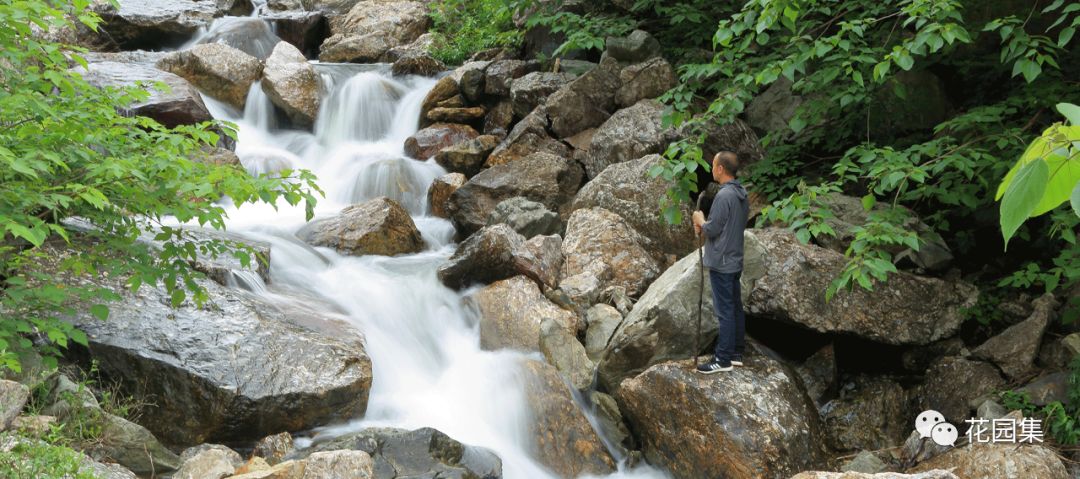 如何制作室内山水景观,如何打造一个日式枯山水庭院
