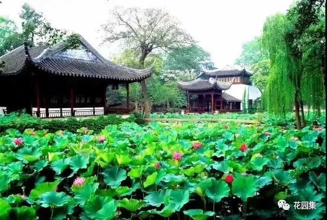 如何制作室内山水景观,如何打造一个日式枯山水庭院