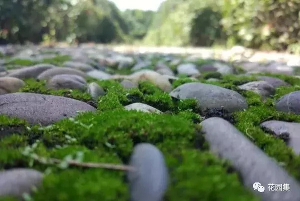 如何制作室内山水景观,如何打造一个日式枯山水庭院