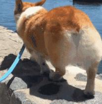 便秘最快通便的小方法,便秘最快通便的方法小妙招