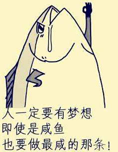 我叫mt4破炎墨甲龙坐骑,我叫mt4决战火焰节传承攻略