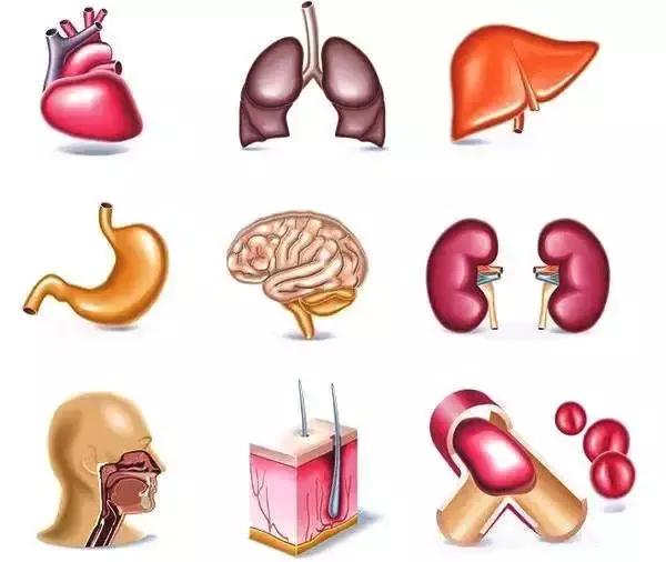45岁以后是生命的高危期,45岁后如何预防生命高危期