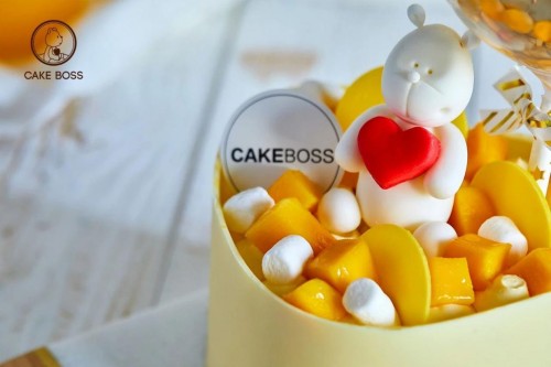 CAEKBOSS，明星专宠的蛋糕品牌