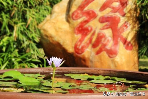 海南最美的城镇澄迈老城,如果你没来过三亚