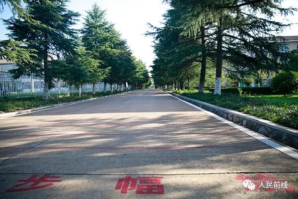 新兵，这是你即将入住的新家，满意吗？