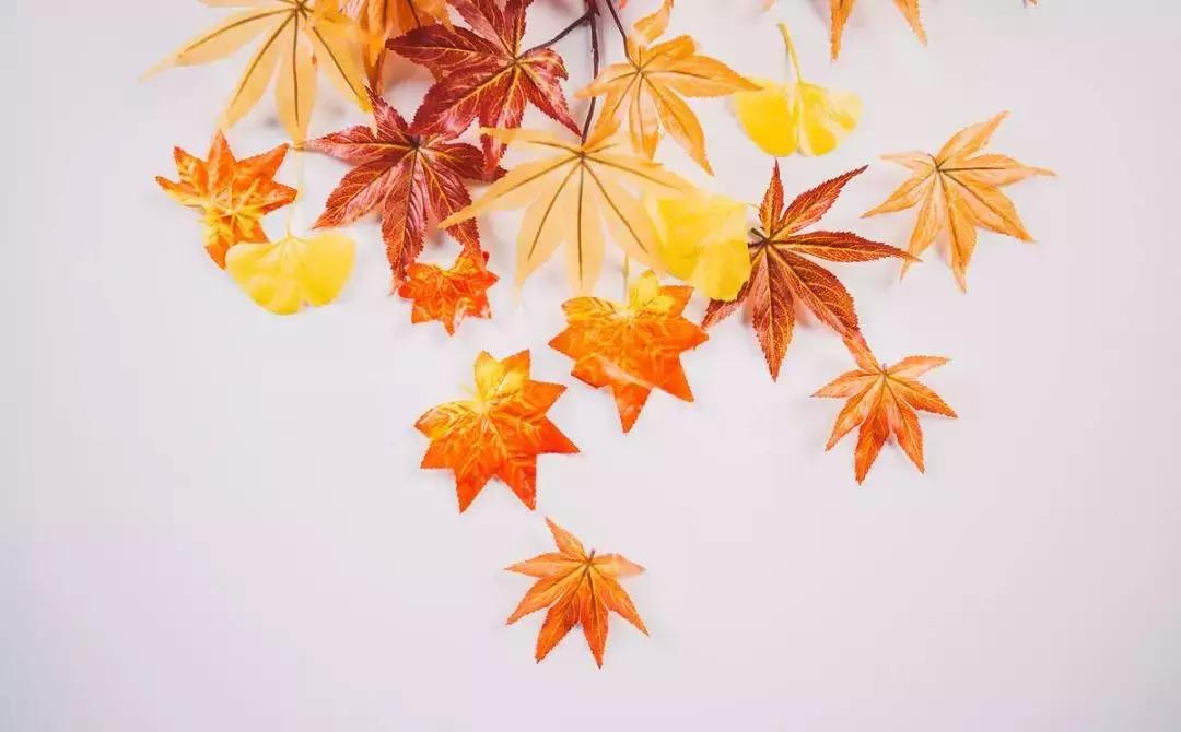 口腔医生教师节,口腔教师节优惠活动