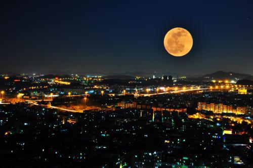 水调歌头苏轼原文鉴赏,水调歌头苏轼诗词下阕的鉴赏