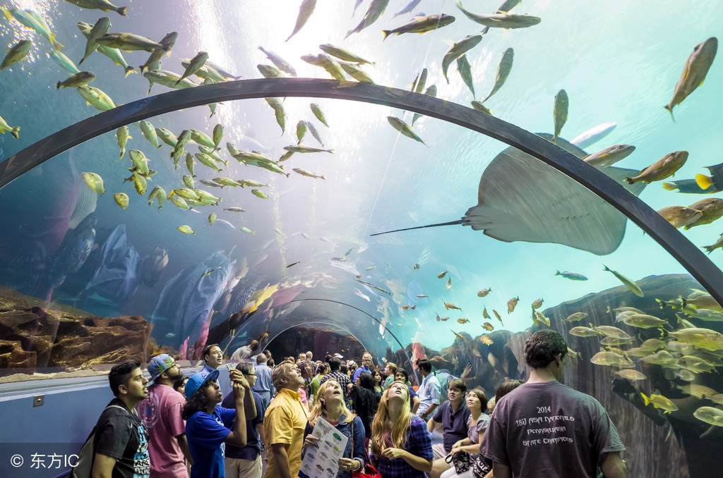 世界公认十大主题乐园 (盘点国外7大主题乐园)