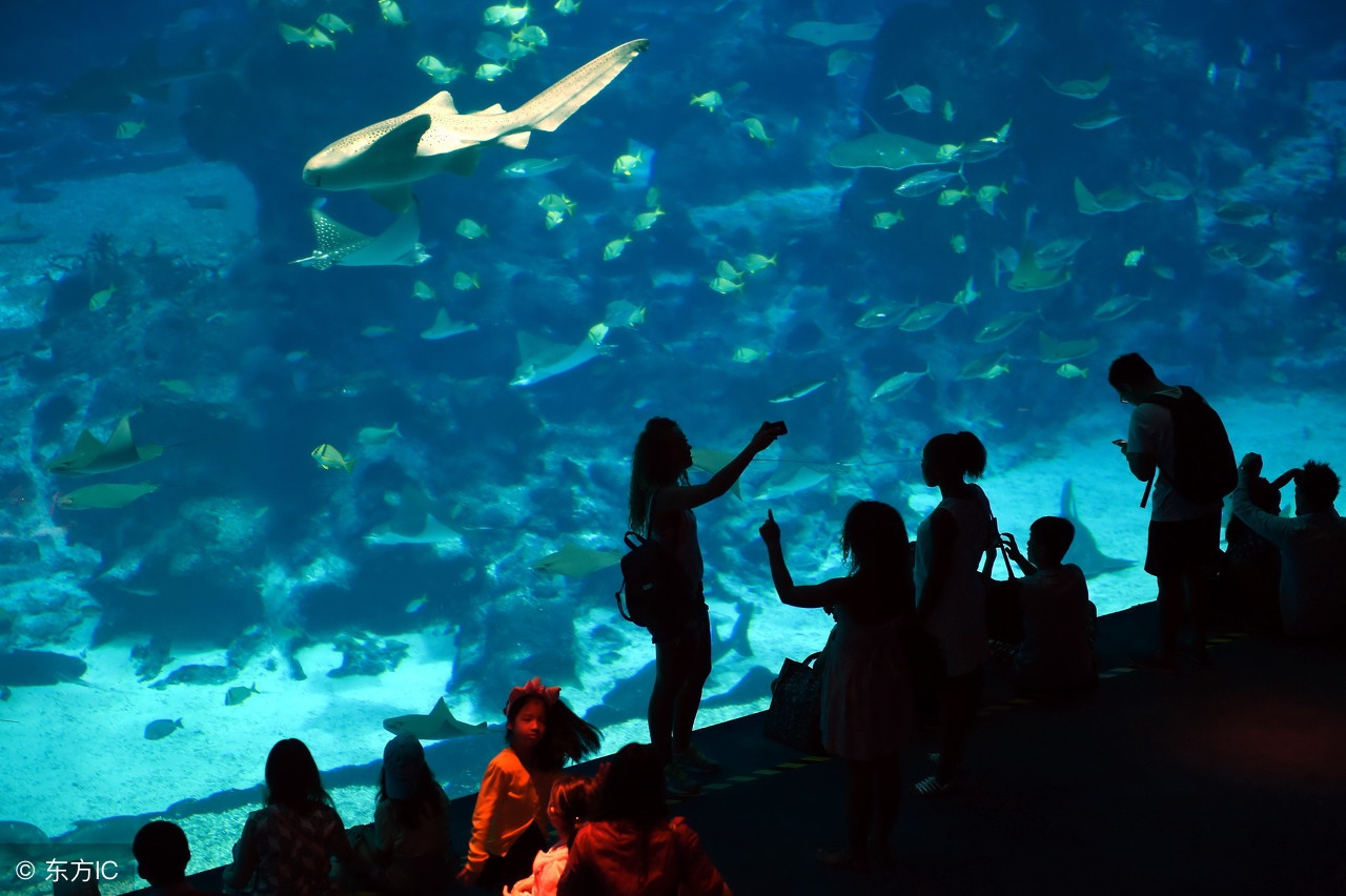 世界公认十大主题乐园 (盘点国外7大主题乐园)