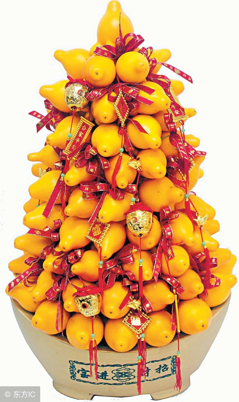 这植物果子有毒不能食用，却能治疗脚气和足癣！寓意财运高照！