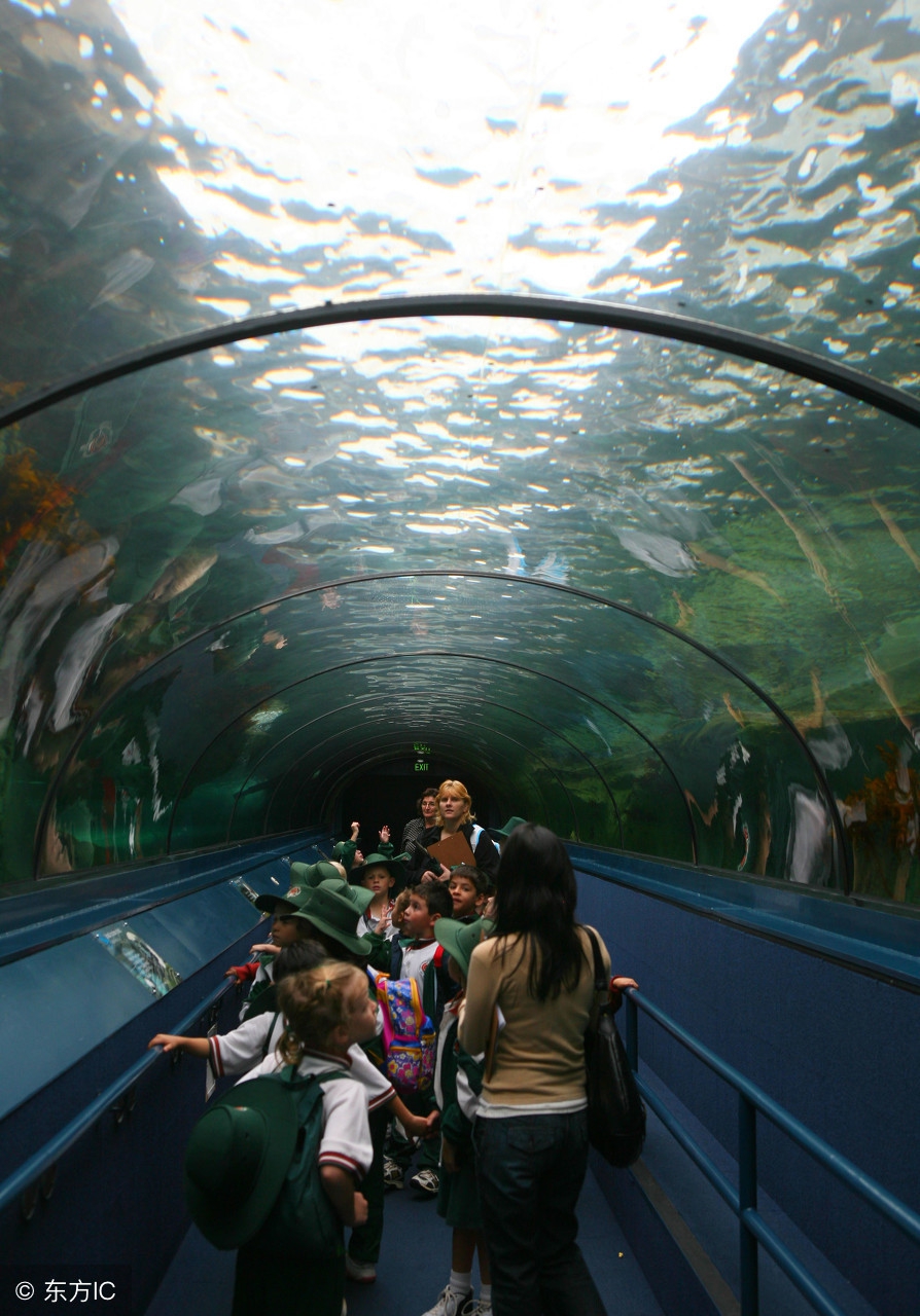 世界公认十大主题乐园 (盘点国外7大主题乐园)