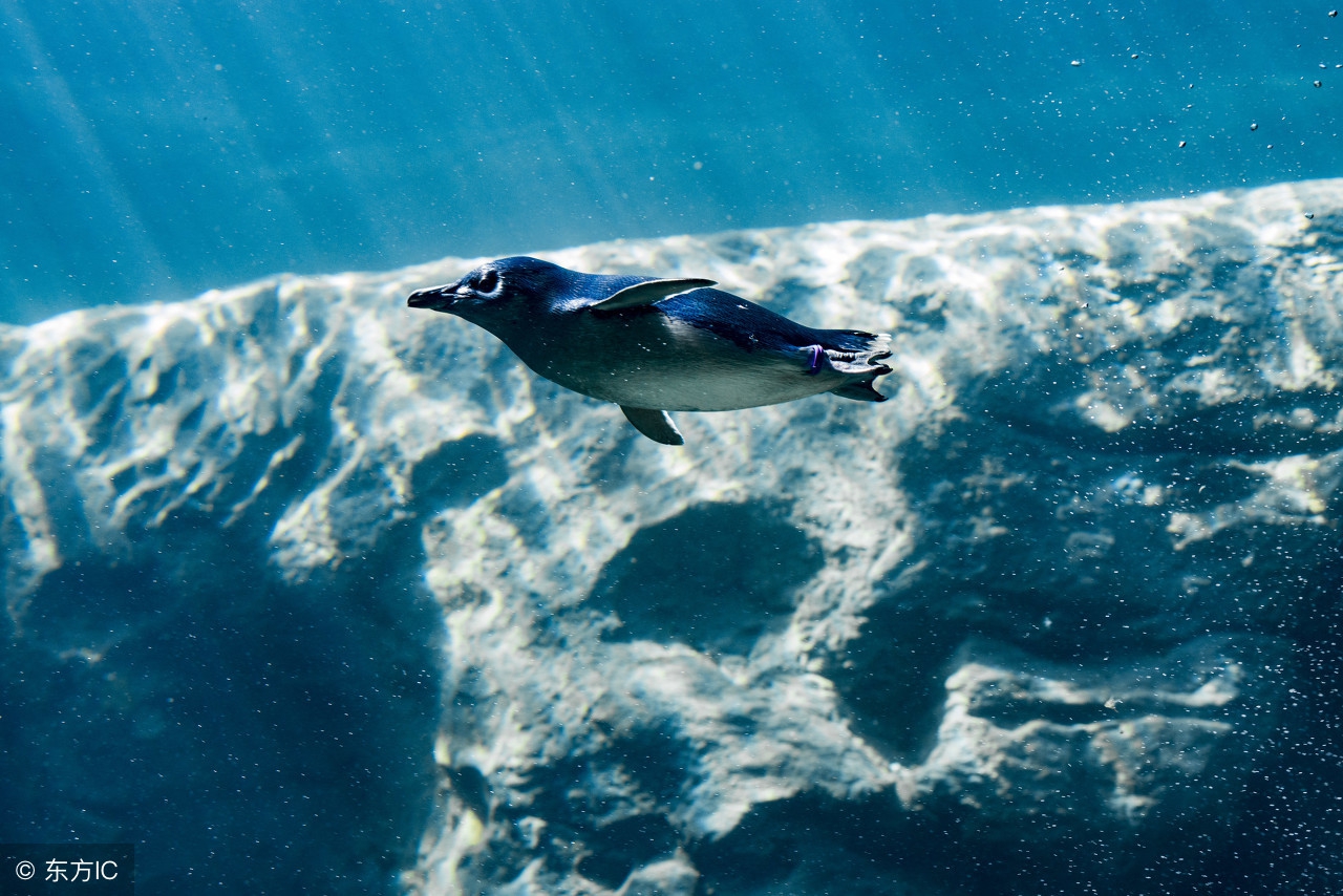 世界公认十大主题乐园 (盘点国外7大主题乐园)