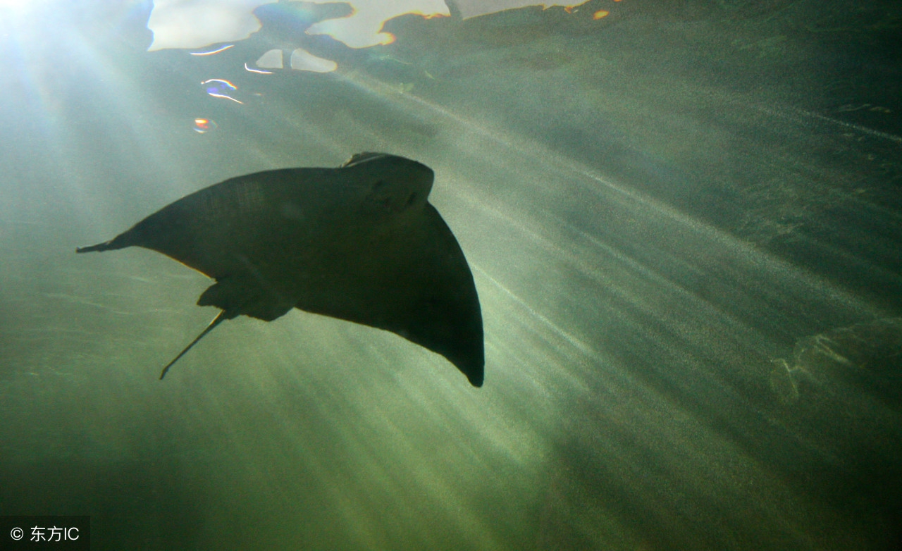 世界公认十大主题乐园 (盘点国外7大主题乐园)