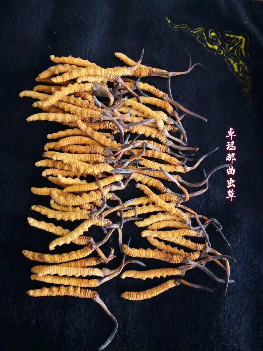 虫草吃了有什么用,吃冬虫夏草会上火吗