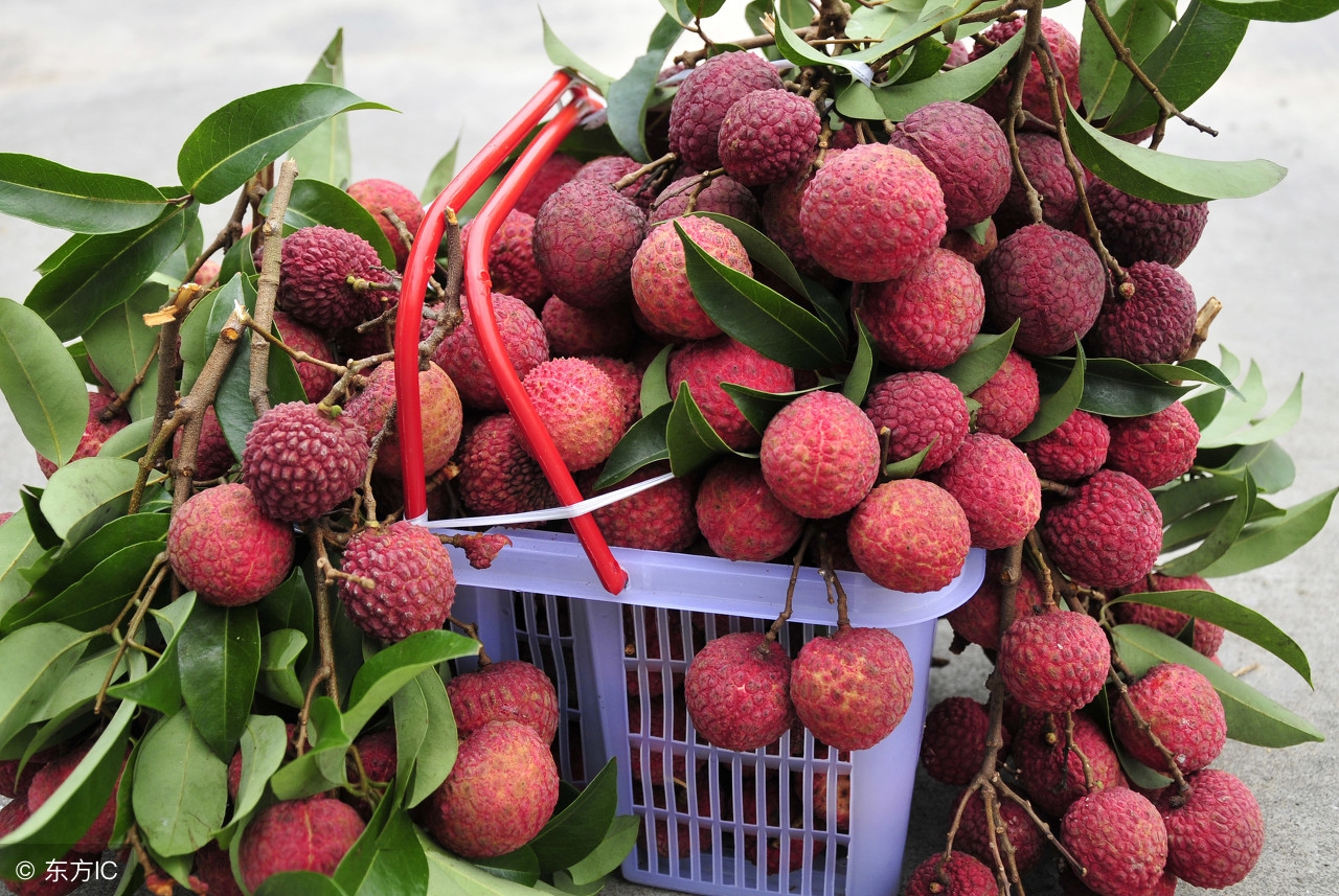 6岁小孩得了胃炎,5岁的孩子急性胃炎怎么办