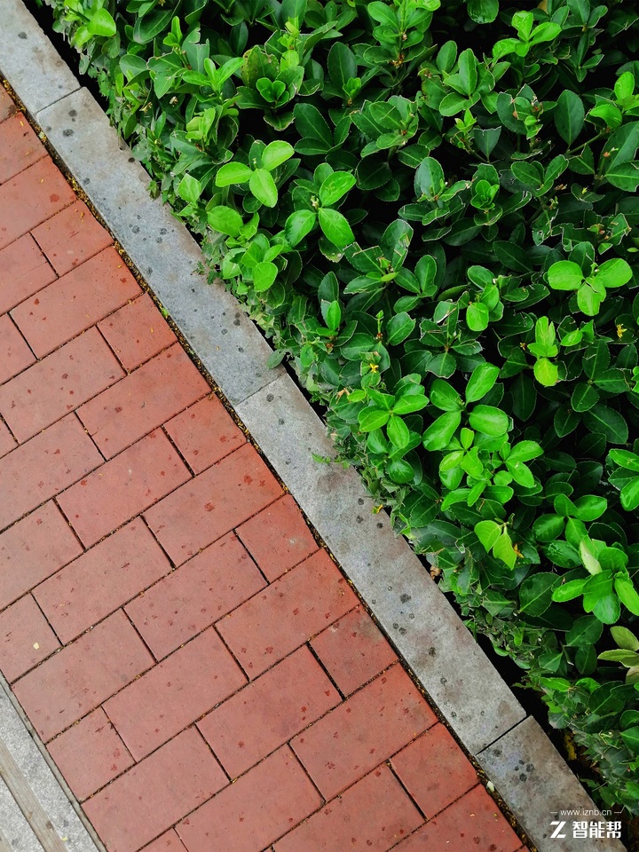 荣耀8x下巴宽度实测,荣耀8x手机技术参数