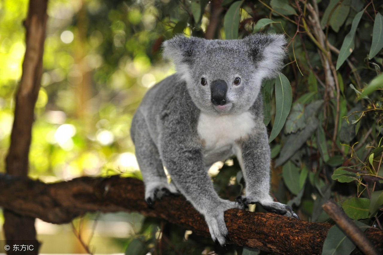 世界公认十大主题乐园 (盘点国外7大主题乐园)