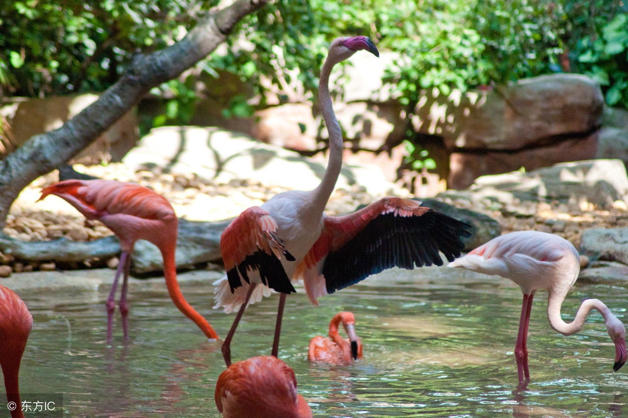 世界公认十大主题乐园 (盘点国外7大主题乐园)