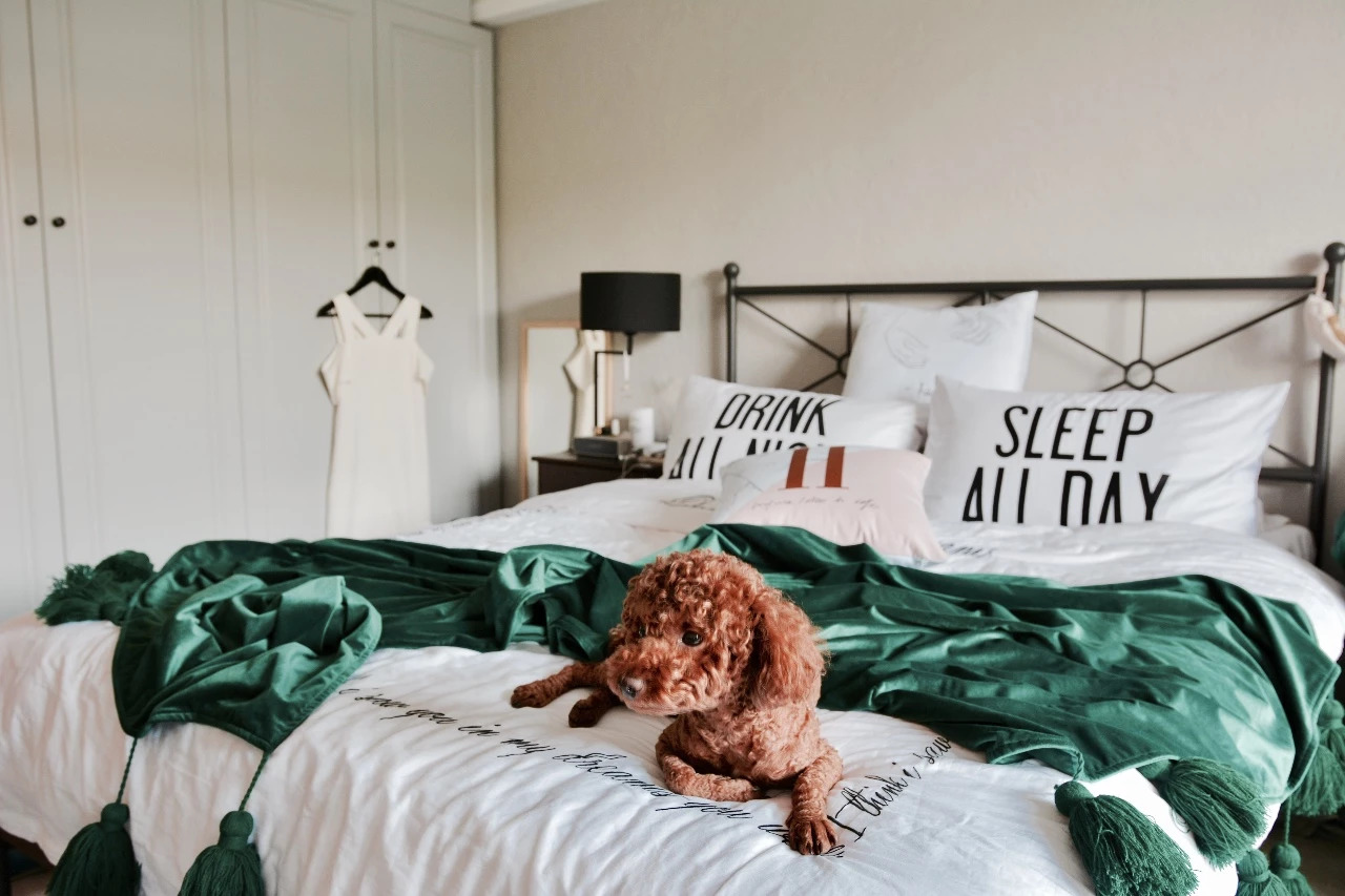 买什么木头的床最好？教你分清真假实木床！