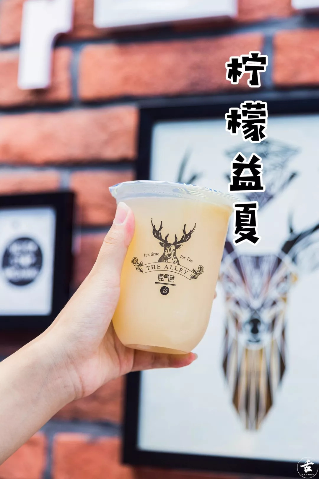 来，免费请你喝黑糖鹿丸鲜奶！临沂人都在等的这家鹿角巷真的来了！目测即将被鹿粉占领！