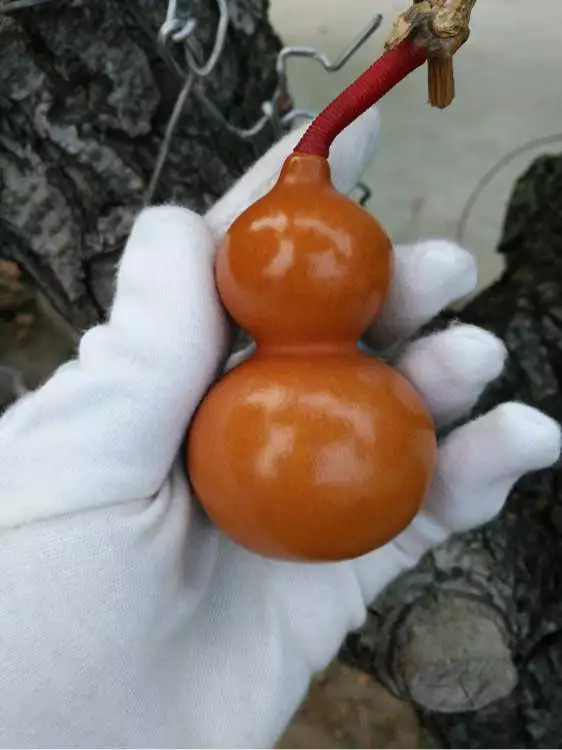 文玩人的通病你犯了几样,文玩人最忌讳的三个操作