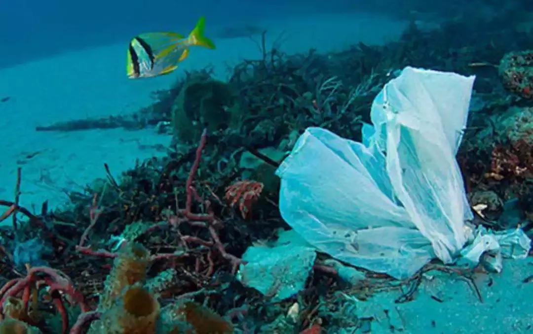 空气中的pm2.5是什么,pm25在空气中算不算