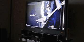 猫能看懂动画片吗,猫能看懂电视里的动物吗