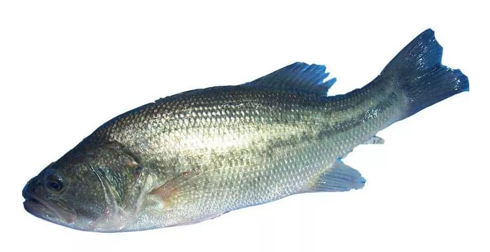 奶粉没有生产日期怎么投诉,奶粉没有生产日期怎么处罚