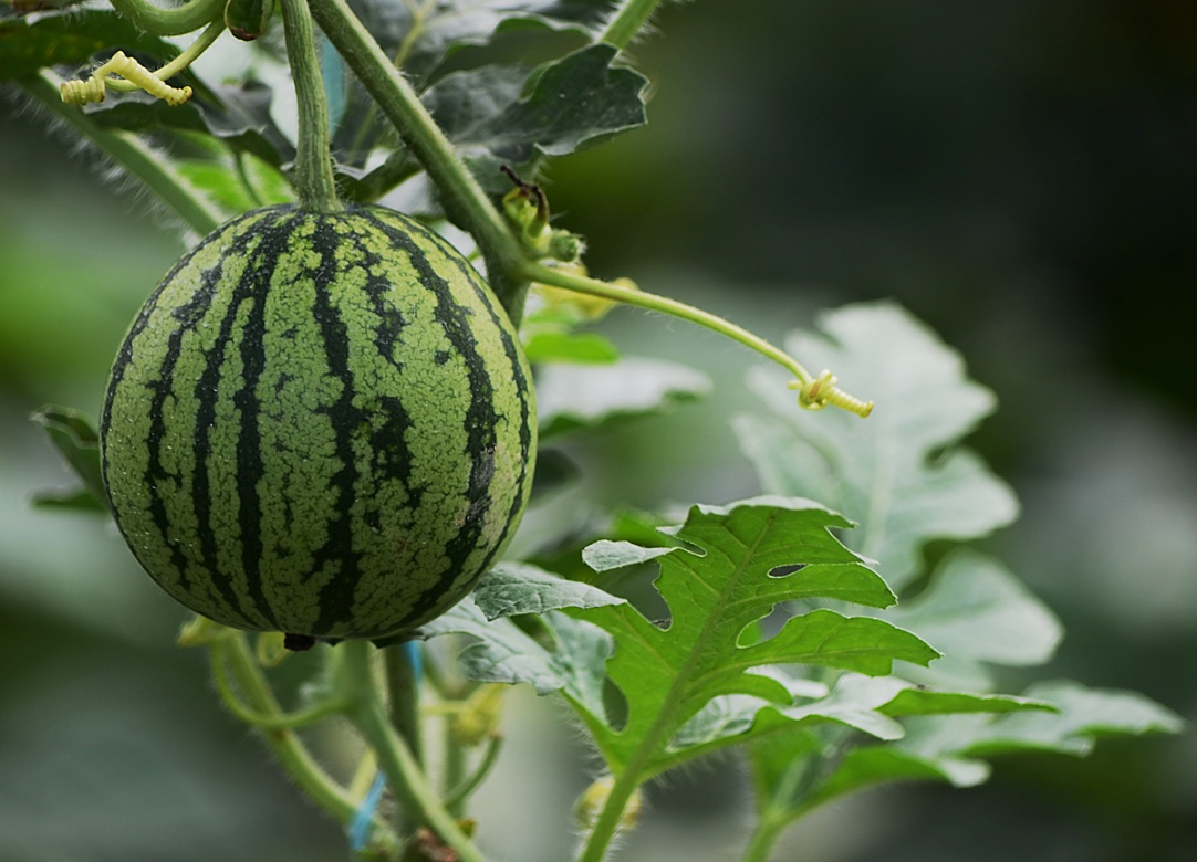 创业学习一个技能赚钱,创业只靠技术