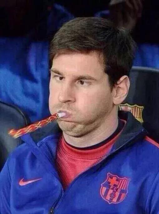 舌尖上的绿荫,舌尖上的雪花牛排