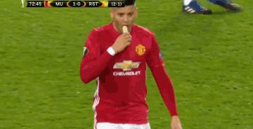 舌尖上的绿荫,舌尖上的雪花牛排