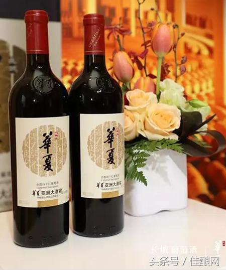 中国模式有哪些成功之处,华夏亚洲大酒窖赤霞珠干红葡萄酒