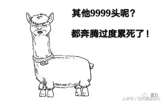 新型防水堵漏材料哪家好,防水堵漏哪种产品好