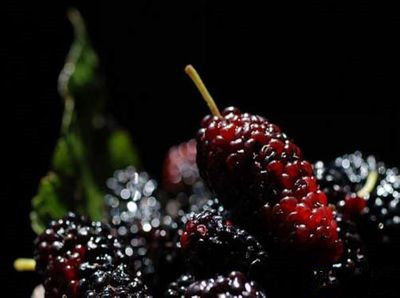 磨牙会引起头痛吗,如果你感觉到头疼这预示着什么