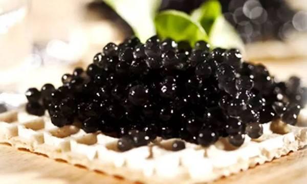 吃货必备的美食食谱,吃货美食视频法国