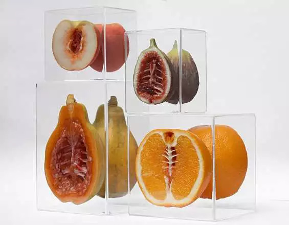 艺术家笔下的蔬菜,艺术家眼中的树