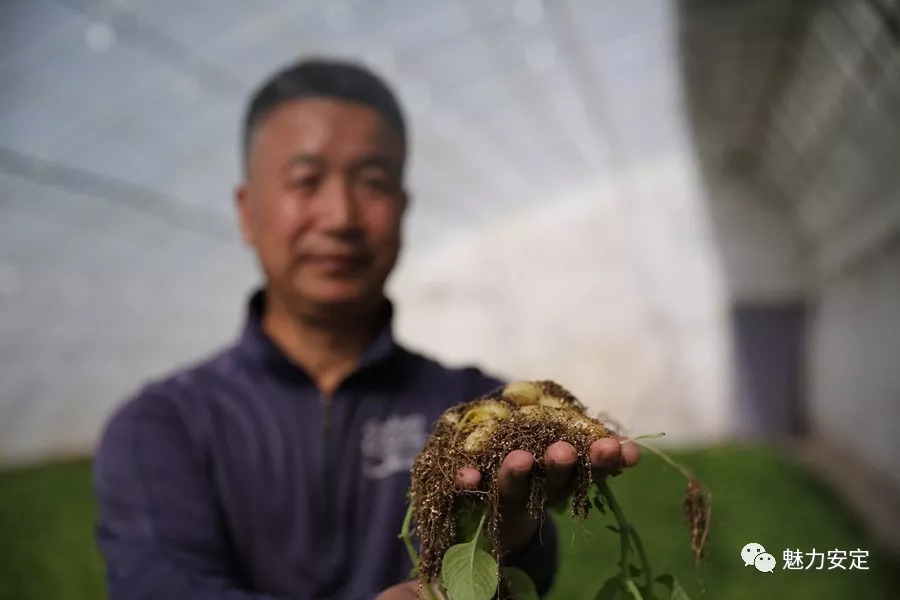 【媒体看香泉】高科技产业精准扶贫靠什么——扶贫点上看变化之安定区篇