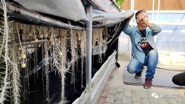 【媒体看香泉】高科技产业精准扶贫靠什么——扶贫点上看变化之安定区篇