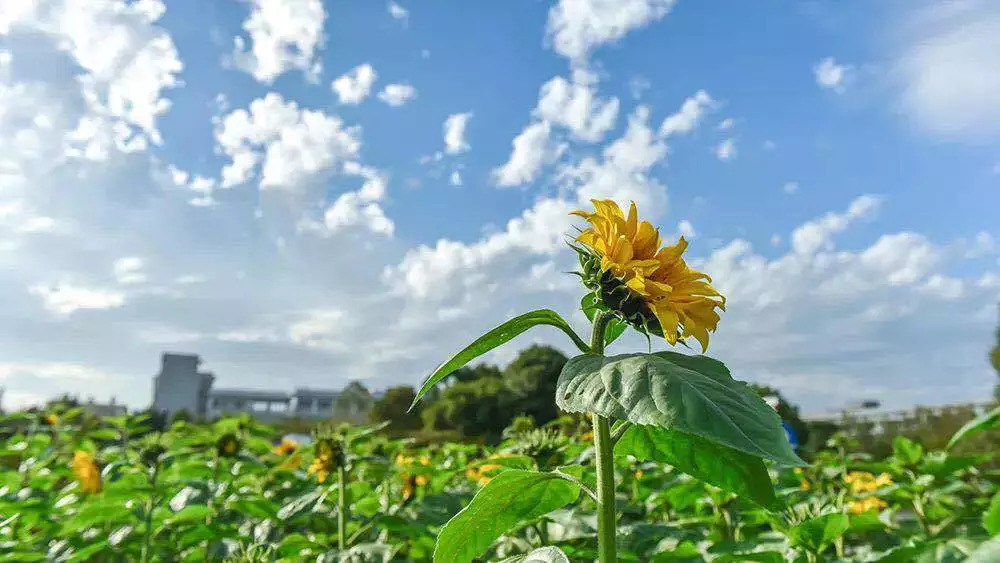 安排上了！新餐厅、新超市、刷脸黑科技……新学期ZUCC新鲜出炉！