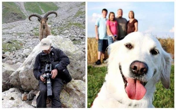 动物搞笑视频抓拍一瞬间,盘点动物搞笑瞬间视频