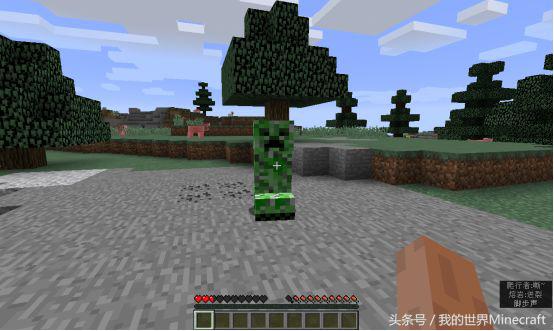我的世界游戏你永远不知道的事情,我的世界游戏中做过的事