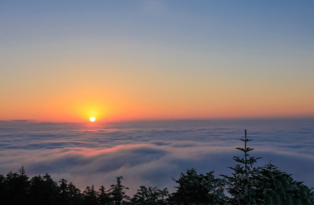 乐山峨眉山周边游,乐山到峨眉山金顶一日游怎么安排